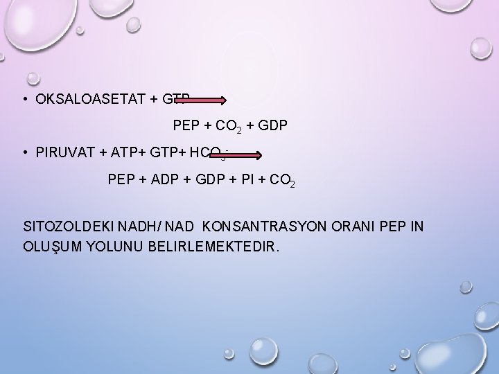  • OKSALOASETAT + GTP PEP + CO 2 + GDP • PIRUVAT +