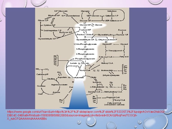 https: //www. google. com/url? sa=i&url=https%3 A%2 F%2 Fslideplayer. com%2 Fslide%2 F 5333573%2 F&psig=AOv. Vaw https: //www. google. com/url? sa=i&url=https%3 A%2 F%2 Fslideplayer. com%2 Fslide%2 F 5333573%2 F&psig=AOv. Vaw
