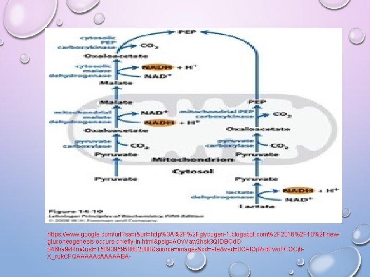 https: //www. google. com/url? sa=i&url=http%3 A%2 F%2 Fglycogen-1. blogspot. com%2 F 2016%2 F 10%2