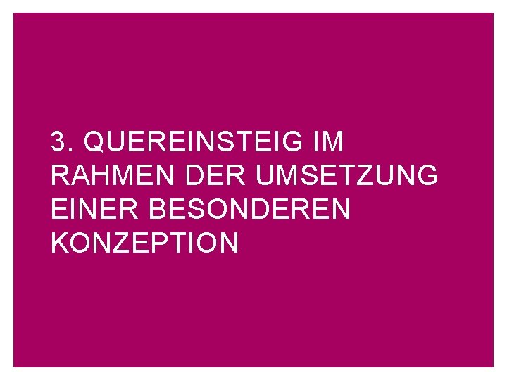 3. QUEREINSTEIG IM RAHMEN DER UMSETZUNG EINER BESONDEREN KONZEPTION 