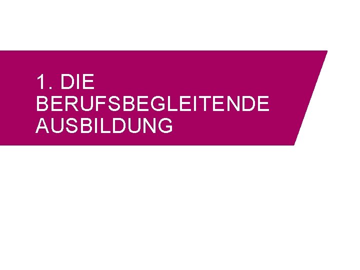 1. DIE BERUFSBEGLEITENDE AUSBILDUNG 