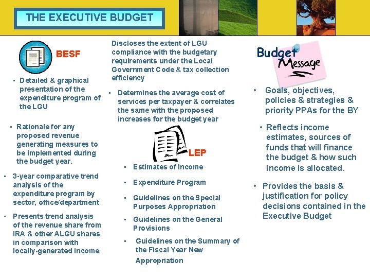 THE EXECUTIVE BUDGET BESF • Detailed & graphical presentation of the expenditure program of