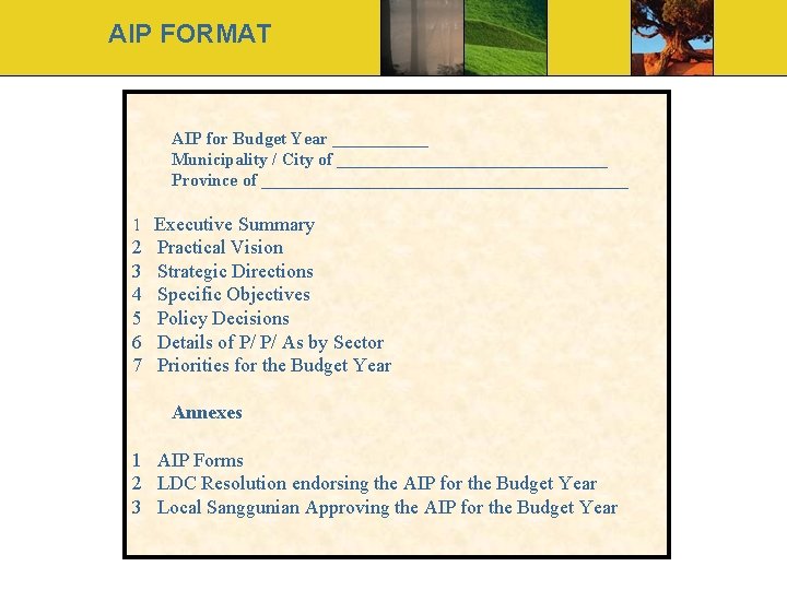 AIP FORMAT AIP for Budget Year ______ Municipality / City of ________________ Province of