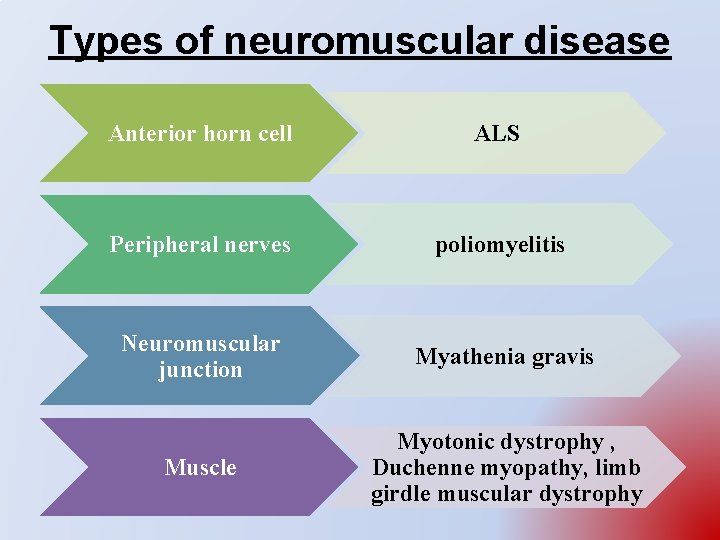 Types of neuromuscular disease Anterior horn cell ALS Peripheral nerves poliomyelitis Neuromuscular junction Myathenia