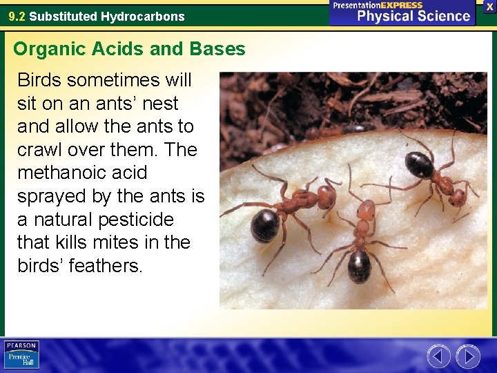 9. 2 Substituted Hydrocarbons Organic Acids and Bases Birds sometimes will sit on an