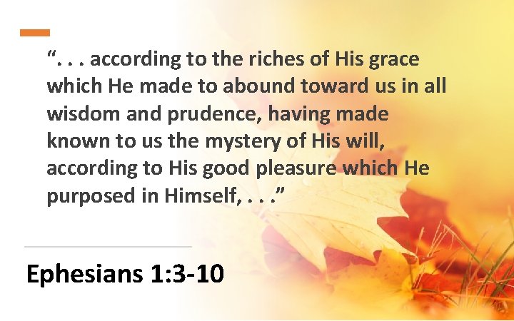 “. . . according to the riches of His grace which He made to