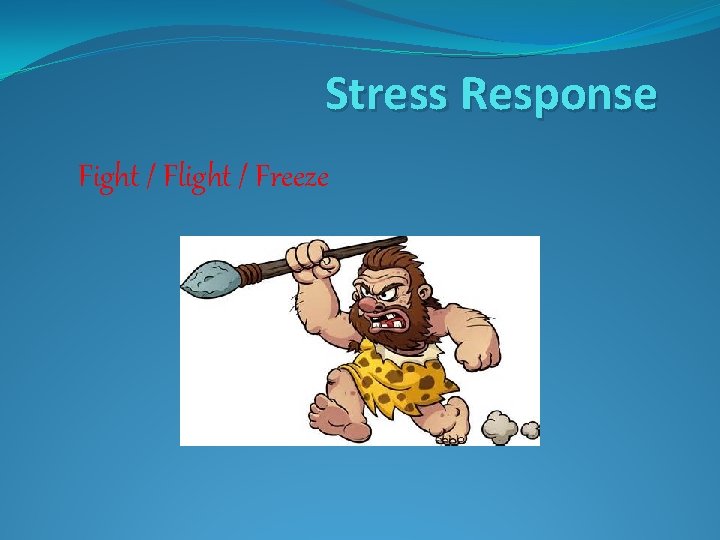 Stress Response Fight / Flight / Freeze 