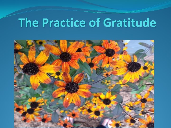 The Practice of Gratitude 