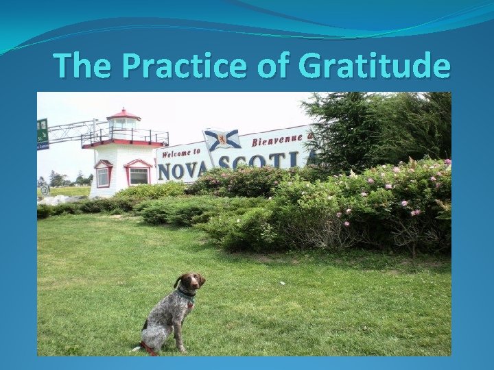 The Practice of Gratitude 