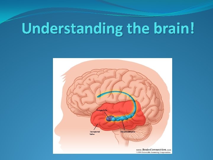 Understanding the brain! 