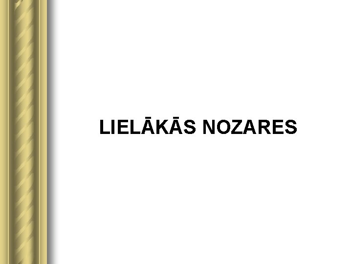 LIELĀKĀS NOZARES 