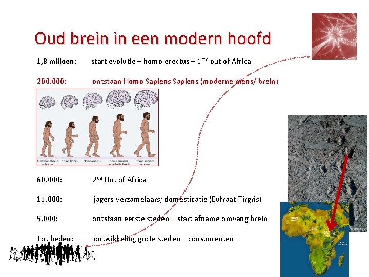 Oud brein in een modern hoofd ste out of Africa 1, 8 miljoen: start