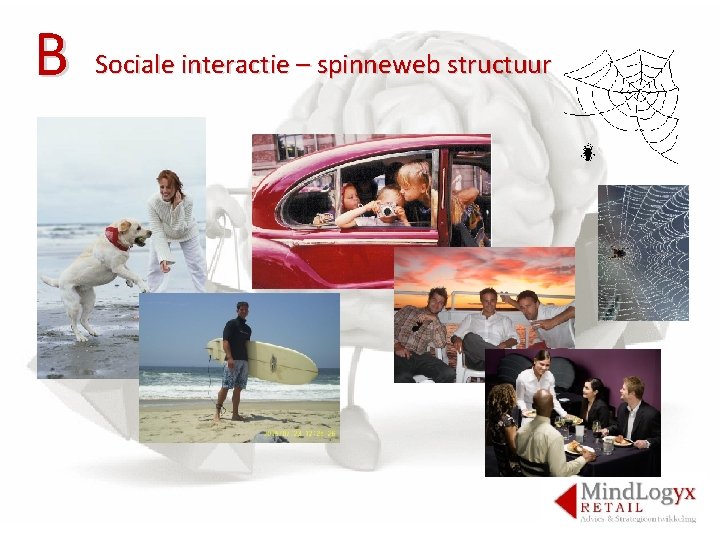 B Sociale interactie – spinneweb structuur 