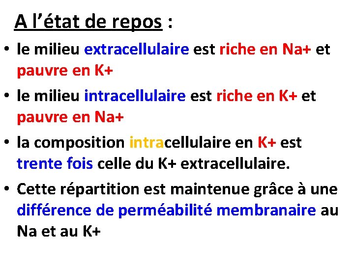  A l’état de repos : • le milieu extracellulaire est riche en Na+