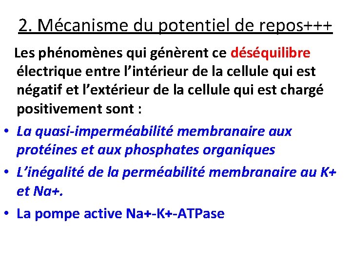 2. Mécanisme du potentiel de repos+++ Les phénomènes qui génèrent ce déséquilibre électrique entre