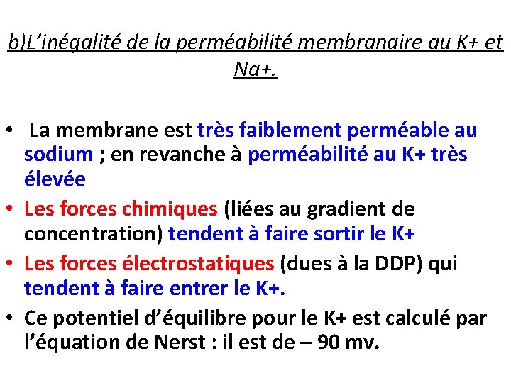 b)L’inégalité de la perméabilité membranaire au K+ et Na+. • La membrane est très