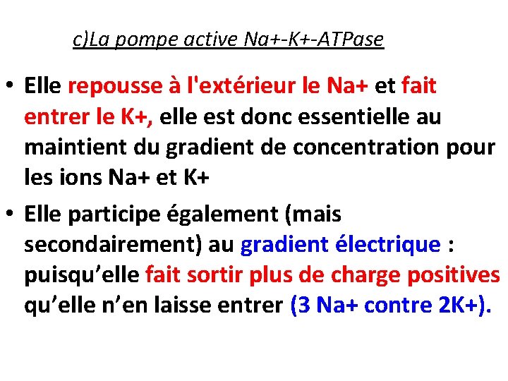 c)La pompe active Na+-K+-ATPase • Elle repousse à l'extérieur le Na+ et fait entrer