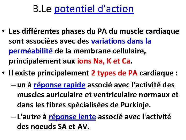  B. Le potentiel d'action • Les différentes phases du PA du muscle cardiaque
