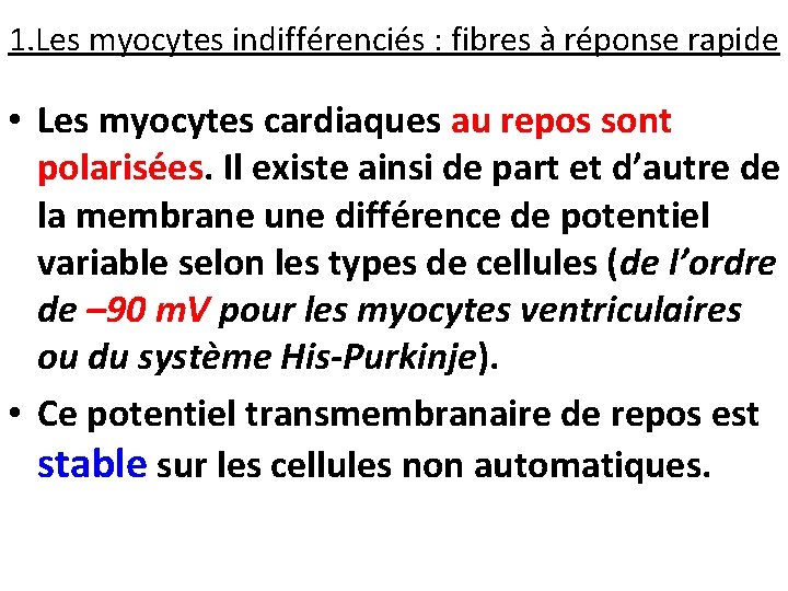 1. Les myocytes indifférenciés : fibres à réponse rapide • Les myocytes cardiaques au