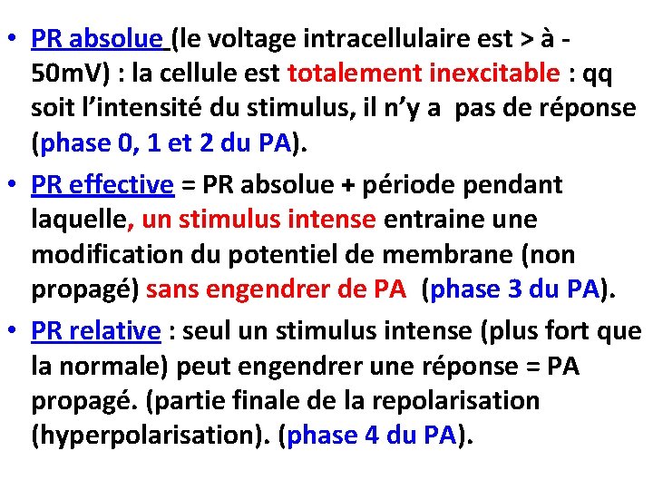  • PR absolue (le voltage intracellulaire est > à 50 m. V) :
