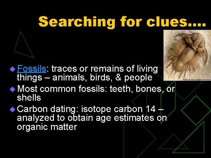Searching for clues…. u Fossils: traces or remains of living things – animals, birds,