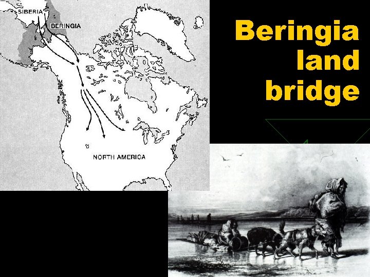 Beringia land bridge 