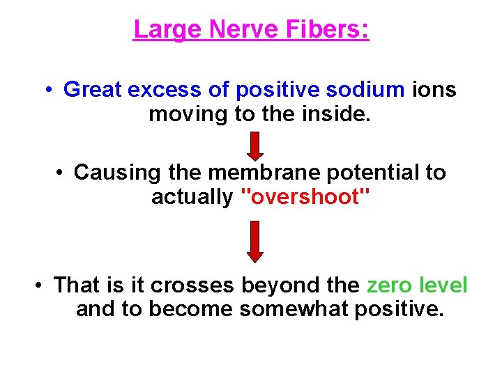 Large Nerve Fibers: • Great excess of positive sodium ions moving to the inside.