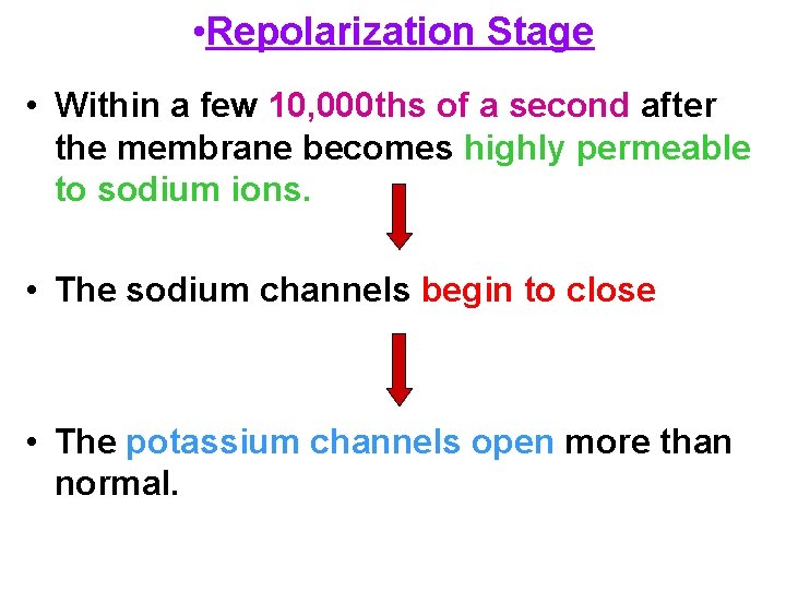  • Repolarization Stage • Within a few 10, 000 ths of a second