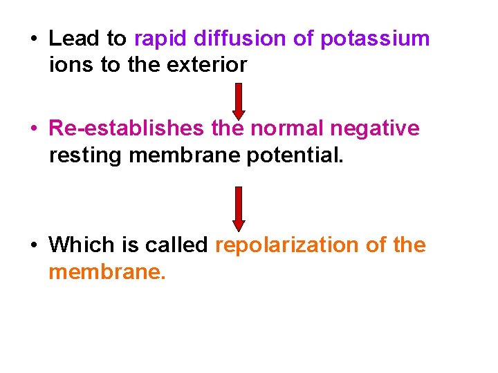  • Lead to rapid diffusion of potassium ions to the exterior • Re