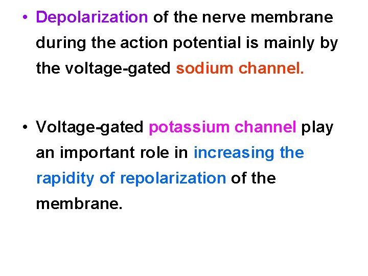  • Depolarization of the nerve membrane during the action potential is mainly by