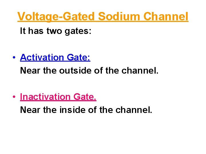 Voltage Gated Sodium Channel It has two gates: • Activation Gate: Near the outside