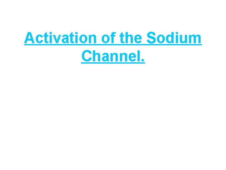 Activation of the Sodium Channel. 