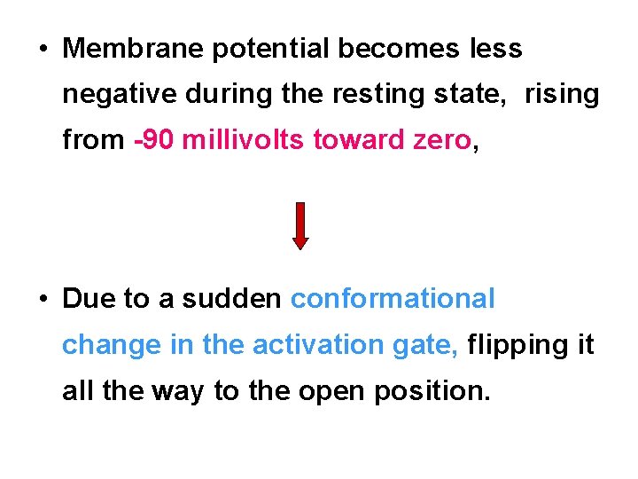  • Membrane potential becomes less negative during the resting state, rising from 90