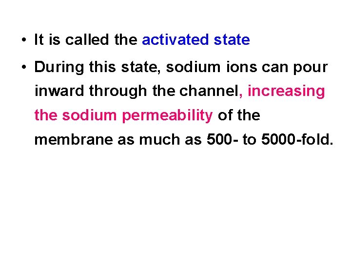  • It is called the activated state • During this state, sodium ions