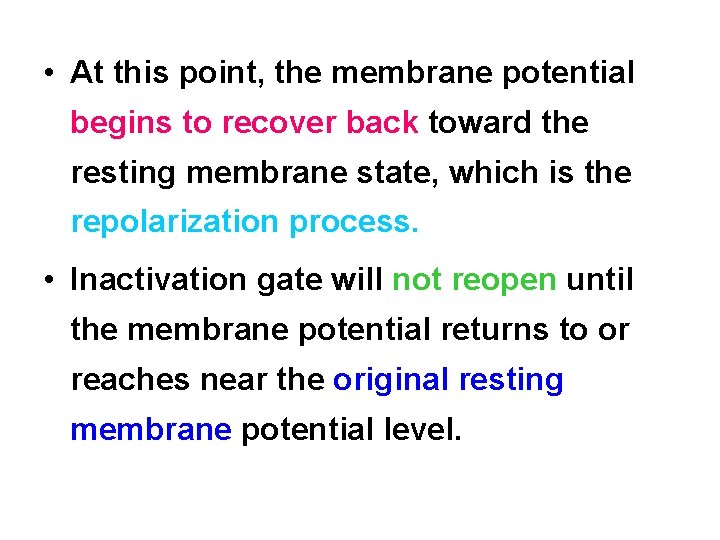  • At this point, the membrane potential begins to recover back toward the