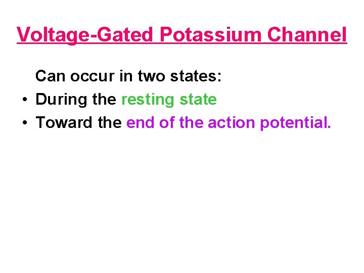 Voltage Gated Potassium Channel Can occur in two states: • During the resting state