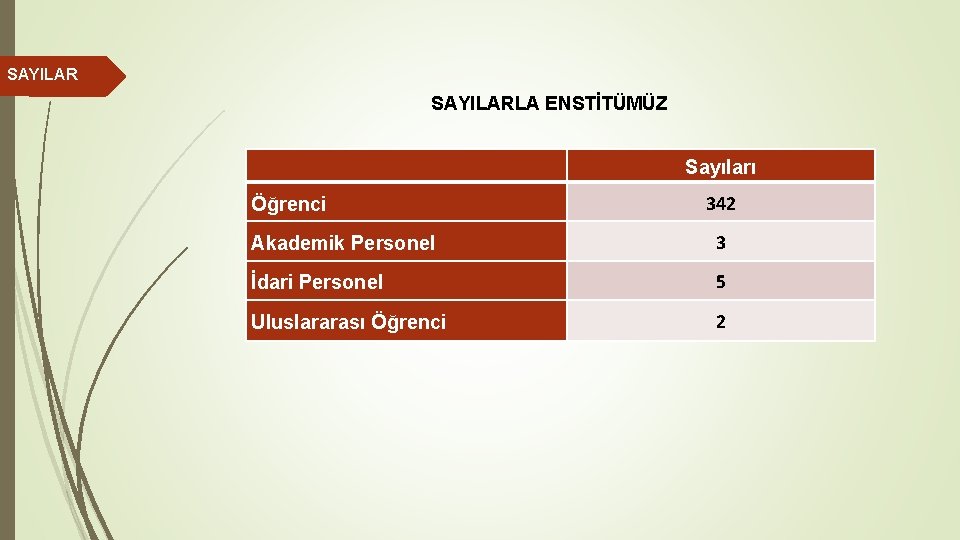 SAYILARLA ENSTİTÜMÜZ Sayıları Öğrenci 342 Akademik Personel 3 İdari Personel 5 Uluslararası Öğrenci 2