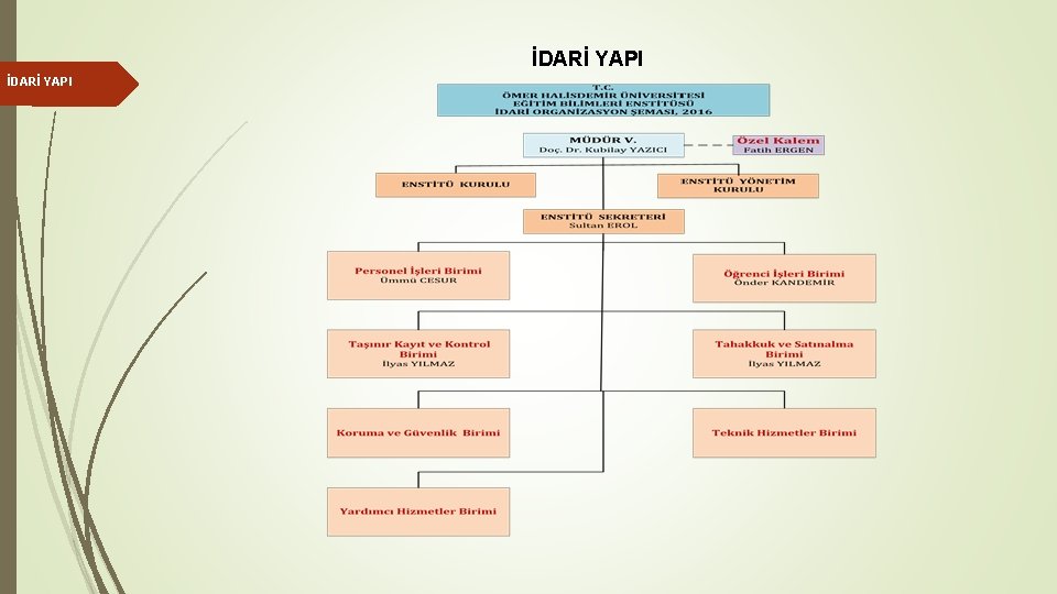 İDARİ YAPI 