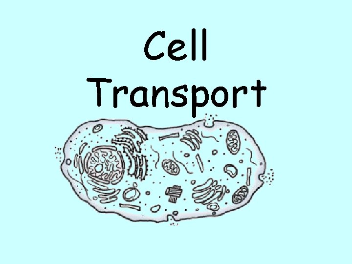 Cell Transport 
