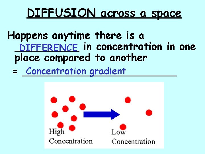 DIFFUSION across a space Happens anytime there is a _____ DIFFERENCE in concentration in