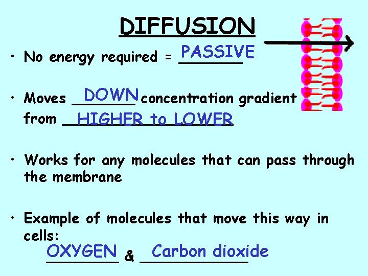 DIFFUSION PASSIVE • No energy required = _______ DOWN concentration gradient • Moves _______