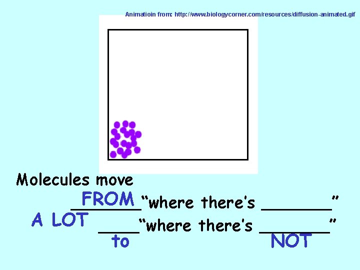 Animatioin from: http: //www. biologycorner. com/resources/diffusion-animated. gif Molecules move FROM _______“where there’s _______” A