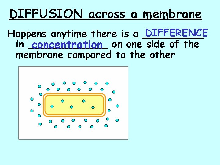 DIFFUSION across a membrane DIFFERENCE Happens anytime there is a _____ in _______ concentration