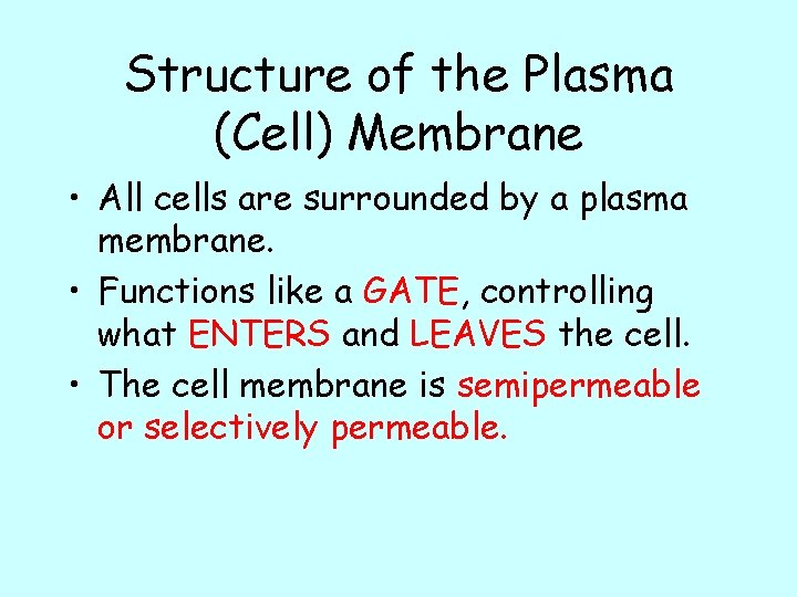 Structure of the Plasma (Cell) Membrane • All cells are surrounded by a plasma