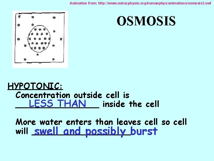 Animation from: http: //www. ouhscphysio. org/humanphys/animations/osmosis 3. swf OSMOSIS HYPOTONIC: Concentration outside cell is