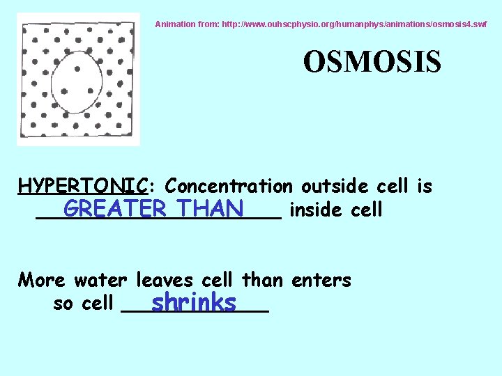 Animation from: http: //www. ouhscphysio. org/humanphys/animations/osmosis 4. swf OSMOSIS HYPERTONIC: Concentration outside cell is