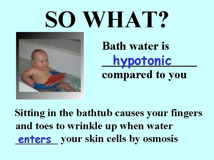 SO WHAT? Bath water is ________ hypotonic compared to you Sitting in the bathtub