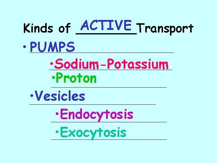 ACTIVE Kinds of ____Transport • ____________________ PUMPS • _________________ Sodium-Potassium • ________________ Proton •