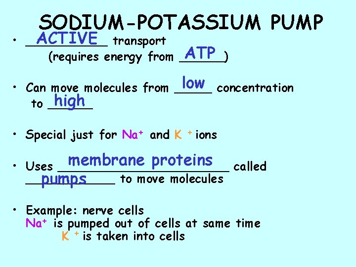 SODIUM-POTASSIUM PUMP ACTIVE transport • ______ ATP (requires energy from ______) low concentration •