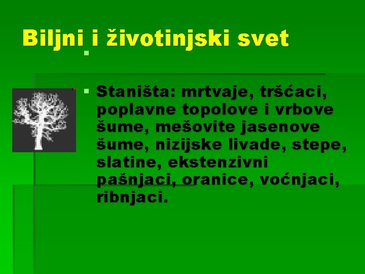 Biljni i životinjski svet § § Staništa: mrtvaje, tršćaci, poplavne topolove i vrbove šume,
